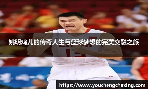 姚明鸡儿的传奇人生与篮球梦想的完美交融之旅
